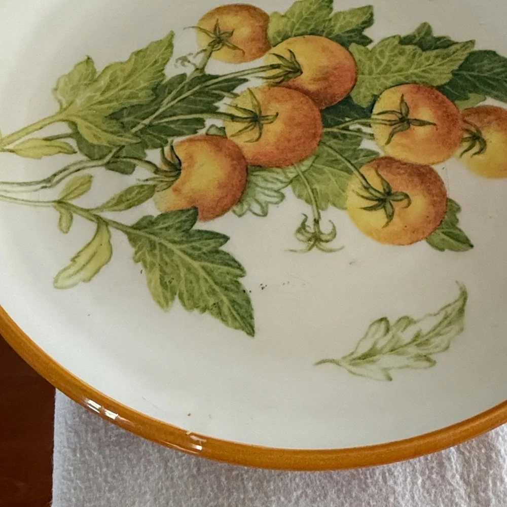 Williams Sonoma Made In Italy Garden Tomatoes 9